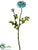Ranunculus Spray - Gray Blue - Pack of 12