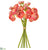 Mini Ranunculus Bundle - Coral Pink - Pack of 12
