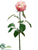 Large Bud Spray - Rose Two Tone - Pack of 12