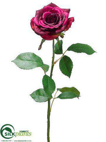 Rose Spray - Eggplant Two Tone - Pack of 12