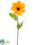 Rudbeckia Spray - Yellow - Pack of 12