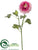 Ranunculus Spray - Cerise Pink - Pack of 12