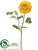 Ranunculus Spray - Yellow - Pack of 12