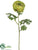 Double Ranunculus Spray - Green - Pack of 12