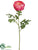 Double Ranunculus Spray - Rose - Pack of 12