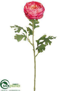 Double Ranunculus Spray - Rose - Pack of 12