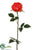 Rose Spray - Coral - Pack of 12