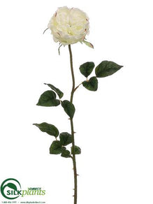 Rose Spray - Cream - Pack of 12