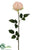 Rose Spray - Peach Soft - Pack of 12