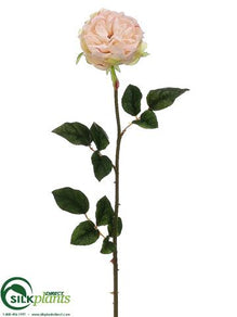 Rose Spray - Peach Soft - Pack of 12