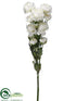 Silk Plants Direct Ranunculus Bundle - White - Pack of 12