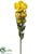 Ranunculus Bundle - Yellow - Pack of 12