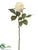 Rose Spray - Eggshell - Pack of 12