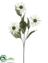 Silk Plants Direct Rudbeckia Spray - Cream Green - Pack of 12