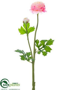 Ranunculus Spray - Pink Cream - Pack of 12
