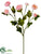 Ranunculus Spray - Pink - Pack of 12