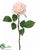 Rose Bud Spray - Apricot Pastel - Pack of 12