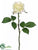 Rose Bud Spray - Lime Pastel - Pack of 12