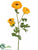 Ranunculus Spray - Yellow Two Tone - Pack of 12