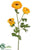 Ranunculus Spray - Yellow Two Tone - Pack of 12