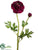 Ranunculus Spray - Burgundy - Pack of 12