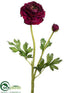 Silk Plants Direct Ranunculus Spray - Burgundy - Pack of 12