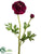 Ranunculus Spray - Burgundy - Pack of 12
