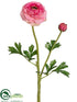 Silk Plants Direct Ranunculus Spray - Rose Pink - Pack of 12