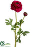 Silk Plants Direct Ranunculus Spray - Wine - Pack of 12