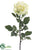 Rose Spray - Green Cream - Pack of 12