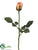 Rose Bud Spray - Apricot - Pack of 12