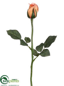 Rose Bud Spray - Apricot - Pack of 12