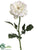 Rose Spray - White Cream - Pack of 12