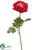 Ranunculus Spray - Rose - Pack of 12