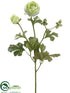 Silk Plants Direct Ranunculus Spray - Cream Green - Pack of 12