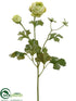 Silk Plants Direct Ranunculus Spray - Green - Pack of 12