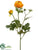 Ranunculus Spray - Orange - Pack of 12