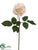 Rose Spray - Beige - Pack of 12