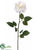 Rose Spray - White - Pack of 24