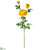Ranunculus Spray - Orange Yellow - Pack of 12