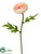 Silk Plants Direct Ranunculus Spray - Peach Cream - Pack of 12