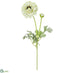 Silk Plants Direct Ranunculus Spray - Beige Green - Pack of 12