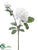 Rose Spray - White - Pack of 12