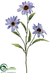 Rudbeckia Spray - Blue Helio - Pack of 12