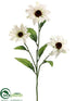 Silk Plants Direct Rudbeckia Spray - Cream - Pack of 12