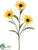 Rudbeckia Spray - Yellow - Pack of 12