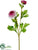 Ranunculus Spray - Mauve - Pack of 12