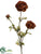 Ranunculus Spray - Coffee - Pack of 12