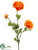 Ranunculus Spray - Orange - Pack of 12