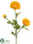 Ranunculus Spray - Yellow - Pack of 12